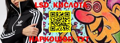 PSILOCYBIN Кингисепп