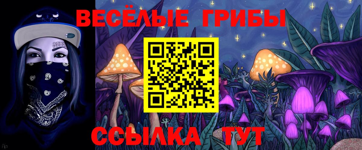 Псилоцибиновые грибы Psilocybine cubensis  Вход с VPN  Королёв 