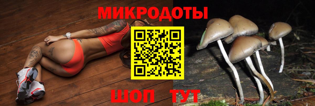 Псилоцибиновые грибы мицелий Королёв